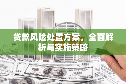 盖州贷款风险处置方案，全面解析与实施策略