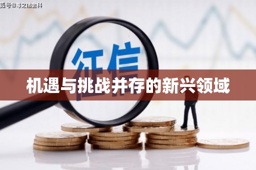 盖州机遇与挑战并存的新兴领域