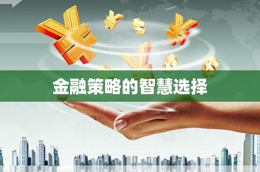 盖州金融策略的智慧选择