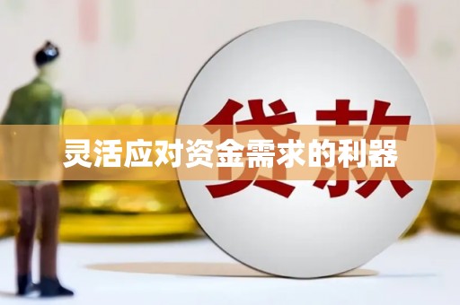 盖州灵活应对资金需求的利器