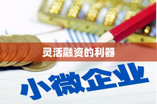 盖州灵活融资的利器