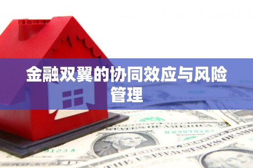 盖州金融双翼的协同效应与风险管理