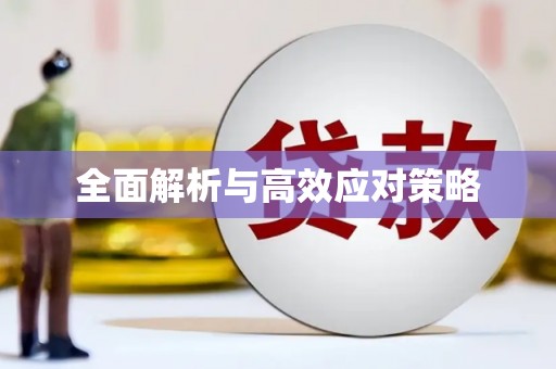 盖州全面解析与高效应对策略