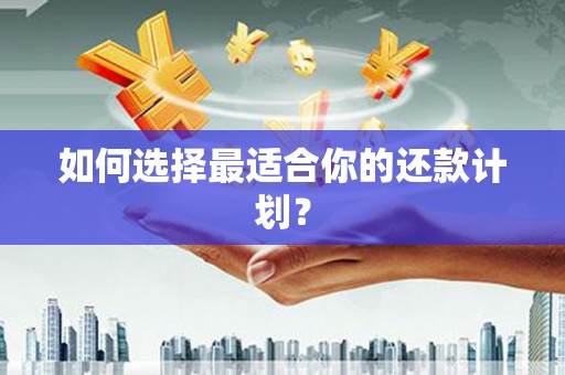 盖州如何选择最适合你的还款计划？