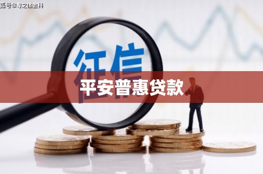 盖州平安普惠贷款
