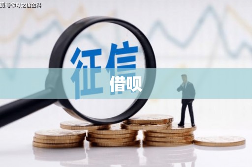 盖州借呗