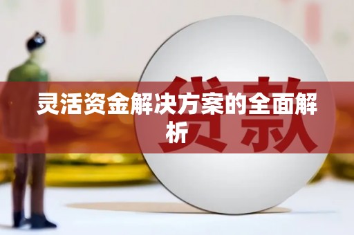 盖州灵活资金解决方案的全面解析