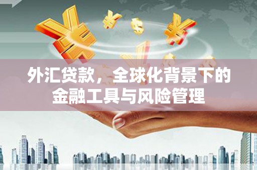 盖州外汇贷款，全球化背景下的金融工具与风险管理
