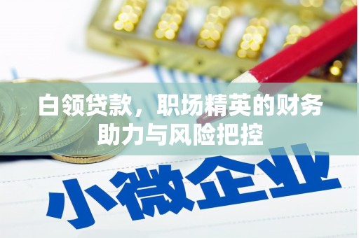 盖州白领贷款，职场精英的财务助力与风险把控