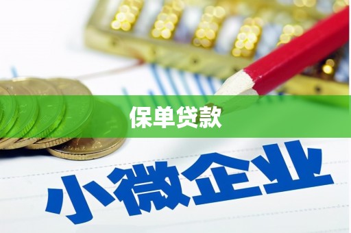 盖州保单贷款